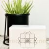 Moyu Weilong WR 3x3 Stickerless