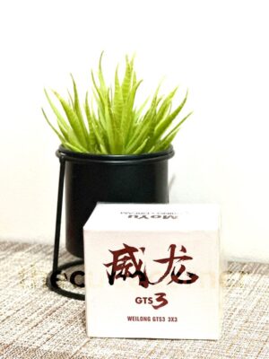 Moyu Weilong GTS3 3x3
